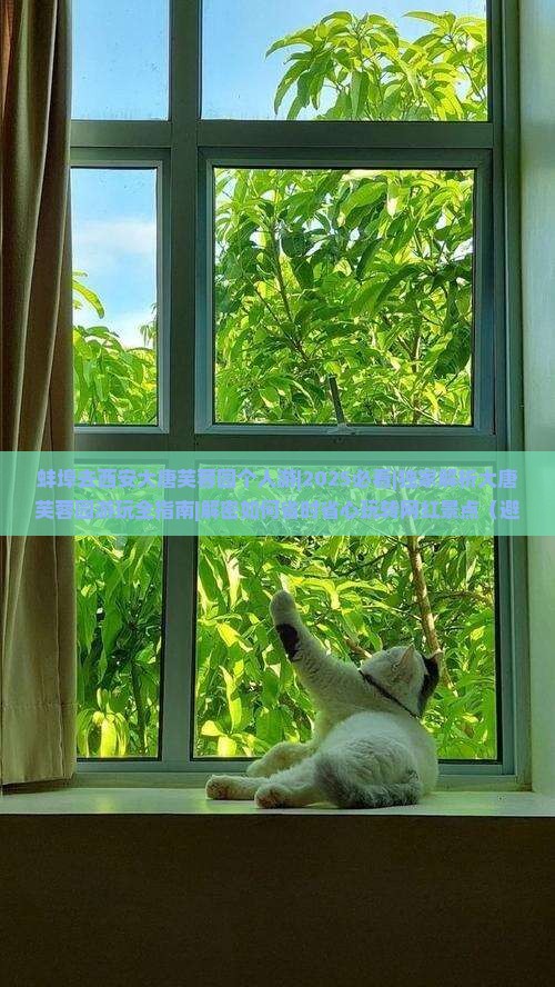 蚌埠去西安大唐芙蓉园个人游