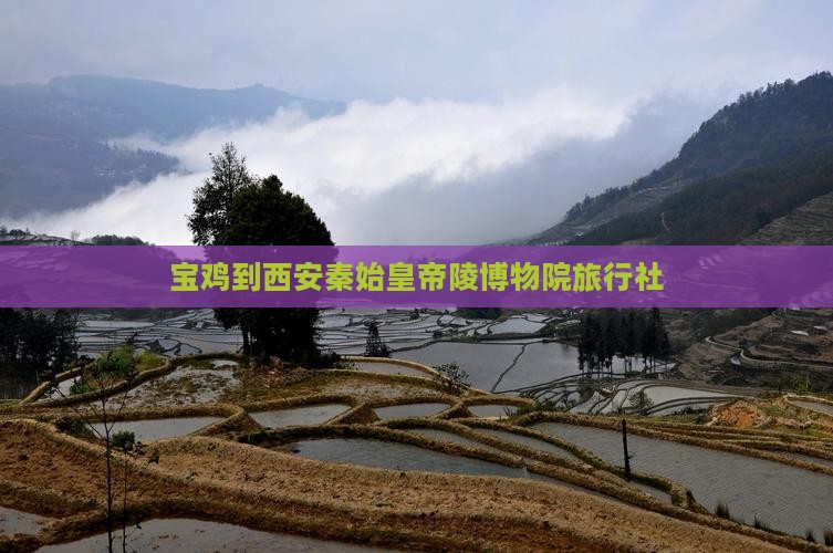 宝鸡到西安秦始皇帝陵博物院旅行社