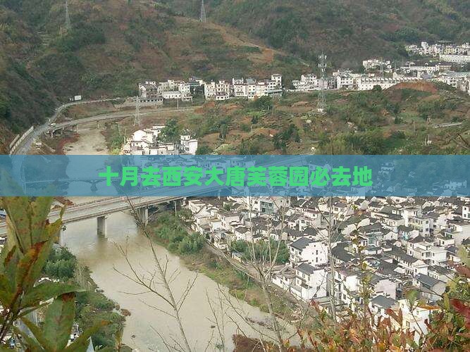 十月去西安大唐芙蓉园必去地