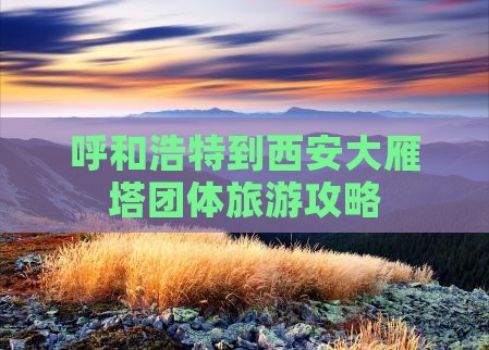 呼和浩特到西安大雁塔团体旅游 呼和浩特到西安大雁塔团体旅游