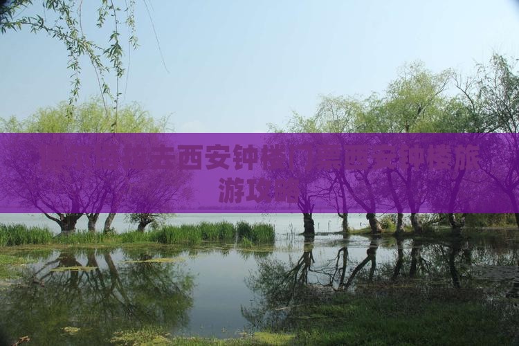 博尔塔拉去西安钟楼门票