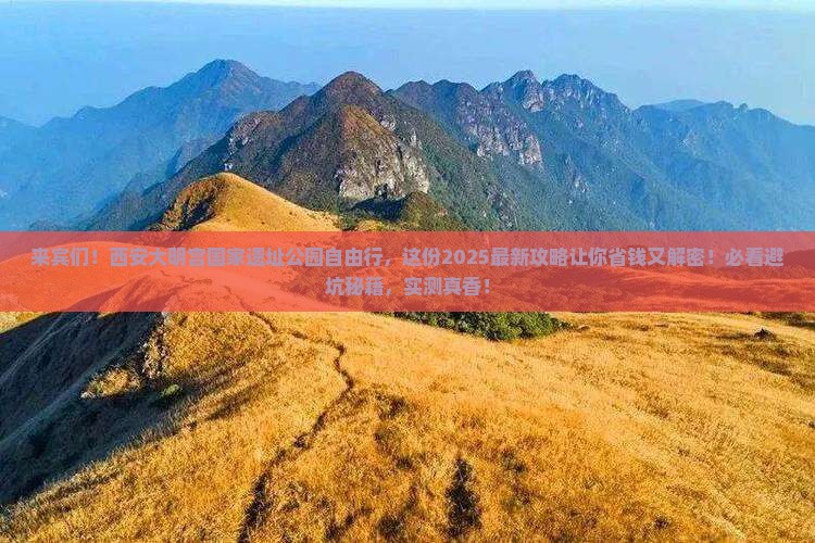 来宾去西安大明宫国家遗址公园自由团