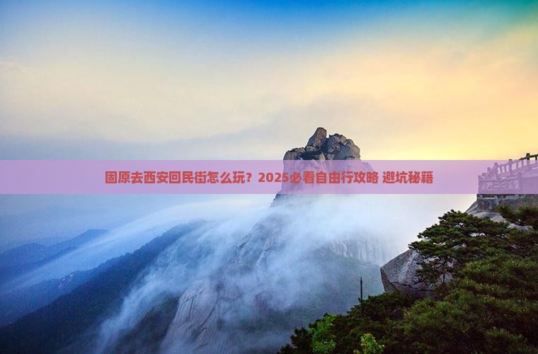 固原去西安回民街自由行