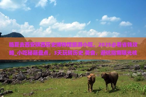 临夏去西安陕西历史博物馆旅游小吃