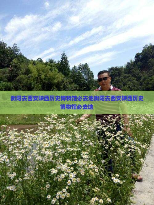 衡阳去西安陕西历史博物馆必去地