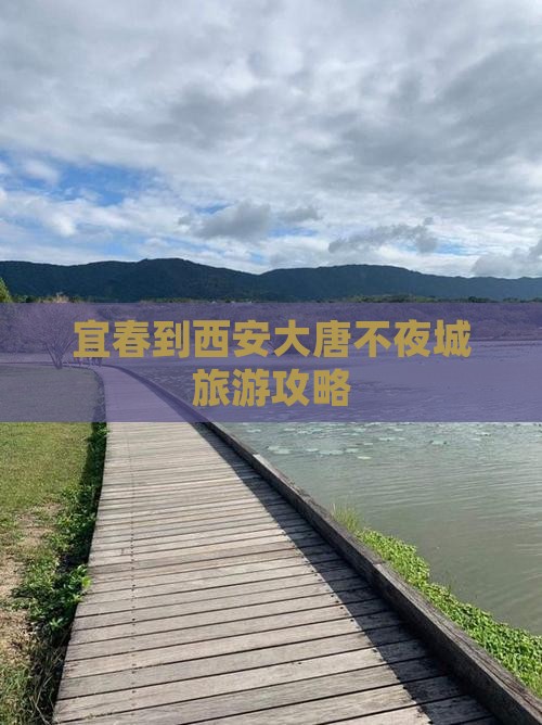 宜春到西安大唐不夜城攻略