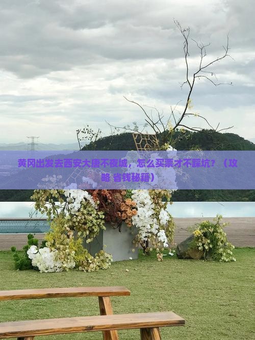 黄冈到西安大唐不夜城门票