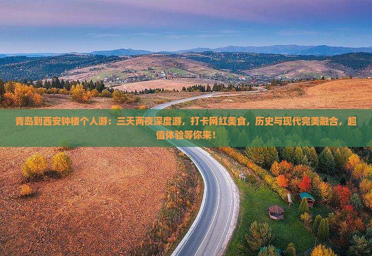 青岛到西安钟楼个人游