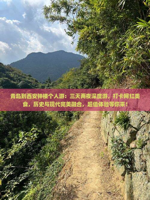 青岛到西安钟楼个人游