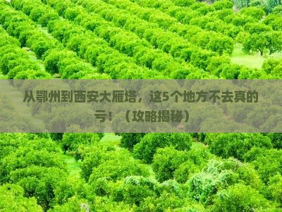 鄂州到西安大雁塔必去地