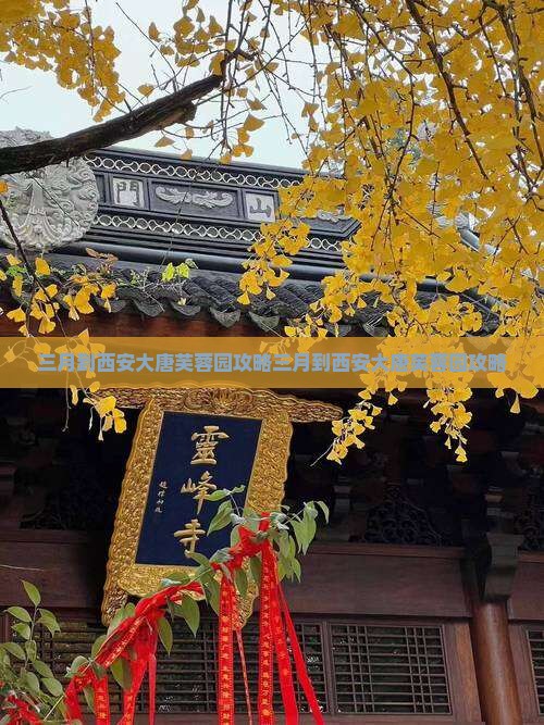 三月到西安大唐芙蓉园攻略