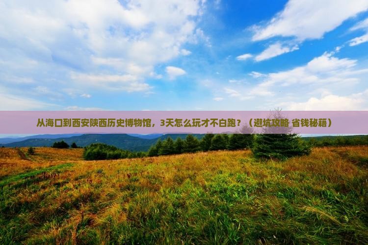 海口去西安陕西历史博物馆必去地