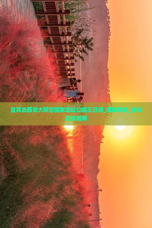 宜宾去西安大明宫国家遗址公园三日游