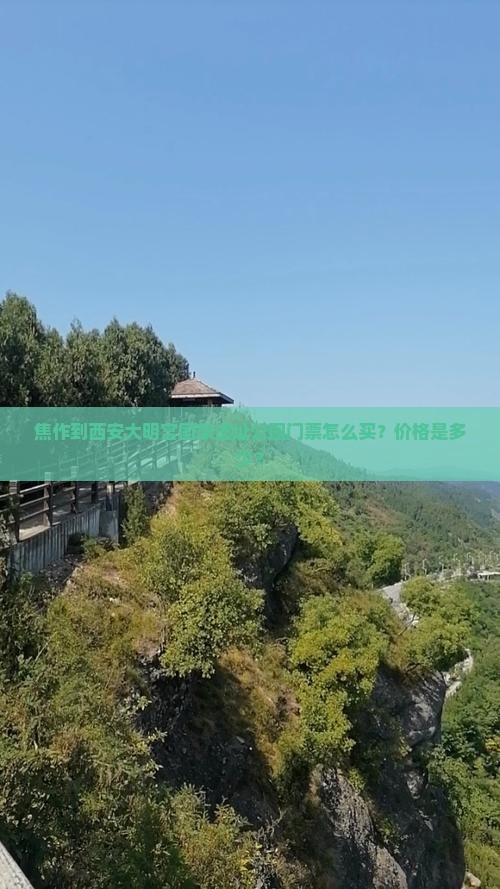 焦作到西安大明宫国家遗址公园门票