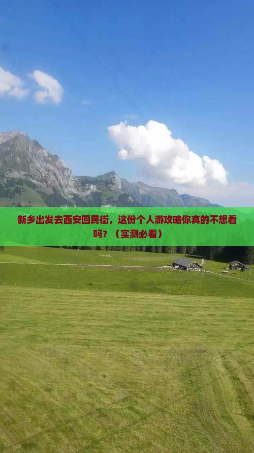 新乡去西安回民街个人游