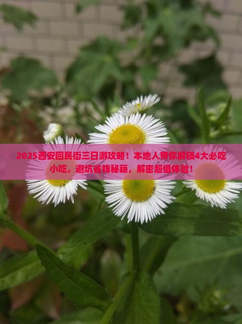 四月去西安回民街三日游