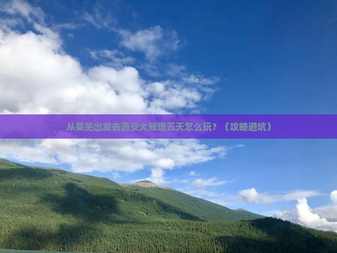 莱芜到西安大雁塔五日游