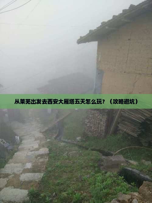 莱芜到西安大雁塔五日游