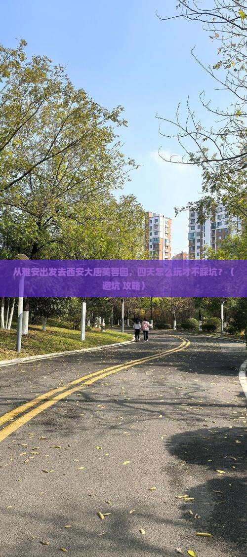 雅安去西安大唐芙蓉园四日游