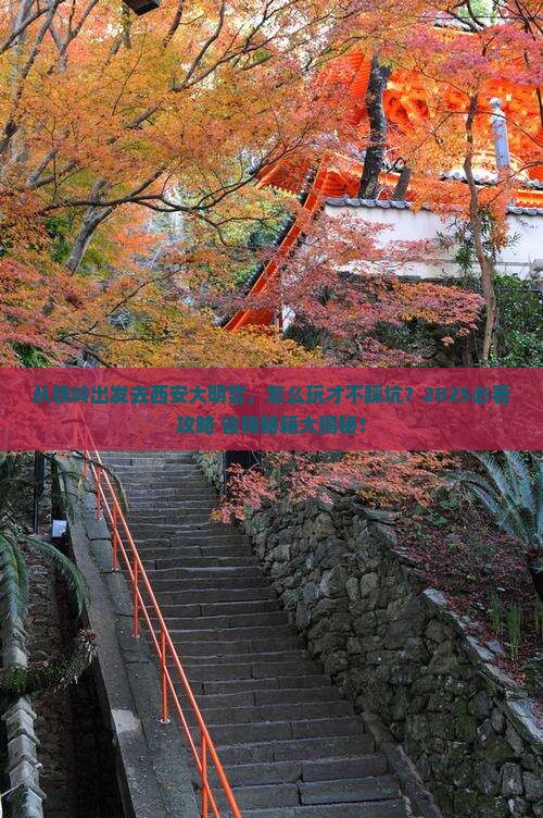铁岭去西安大明宫国家遗址公园攻略