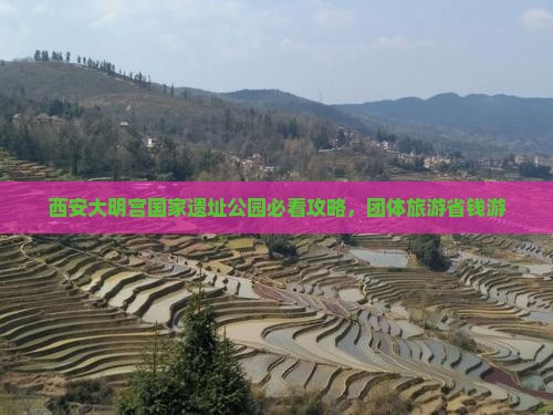 林芝去西安大明宫国家遗址公园团体旅游
