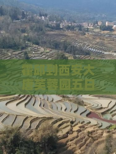霍邱到西安大唐芙蓉园五日游