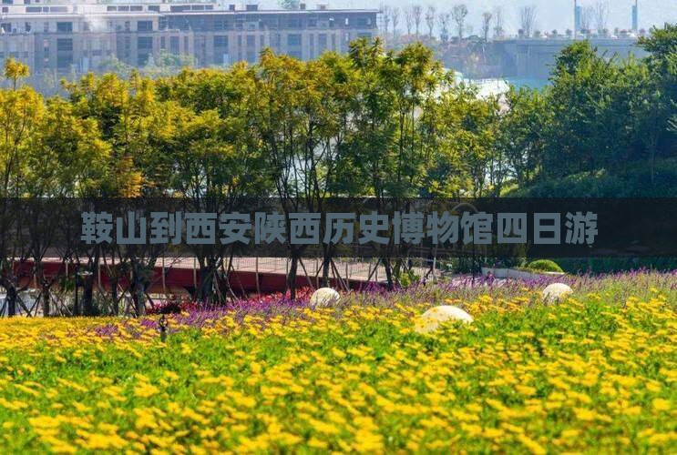 鞍山到西安陕西历史博物馆四日游