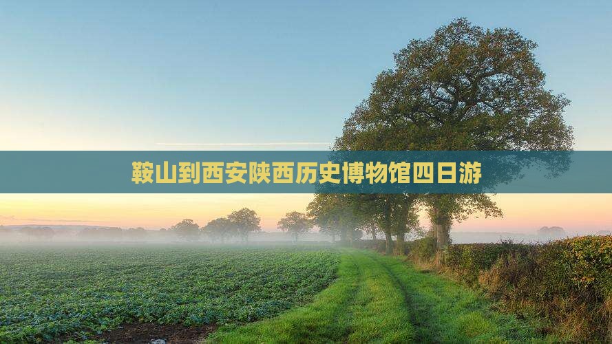 鞍山到西安陕西历史博物馆四日游