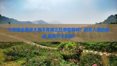 兴安盟去西安大唐不夜城三日游