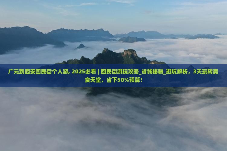 广元到西安回民街个人游