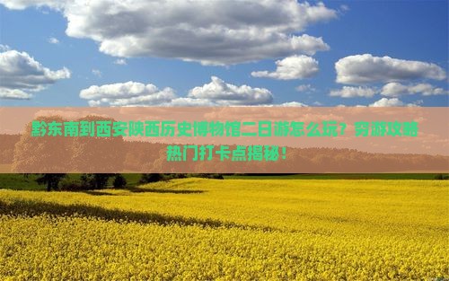 黔东南到西安陕西历史博物馆二日游