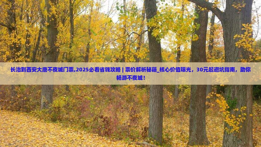 长治到西安大唐不夜城门票