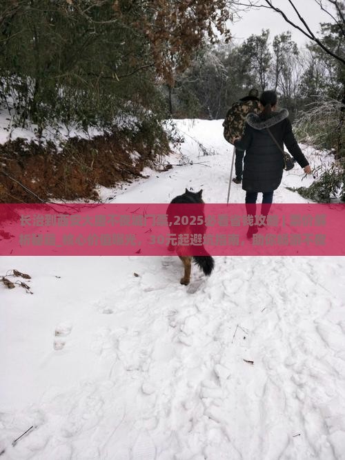 长治到西安大唐不夜城门票