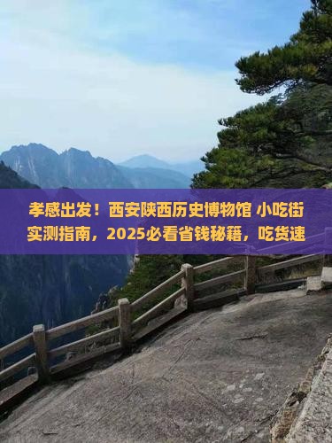 孝感到西安陕西历史博物馆旅游小吃