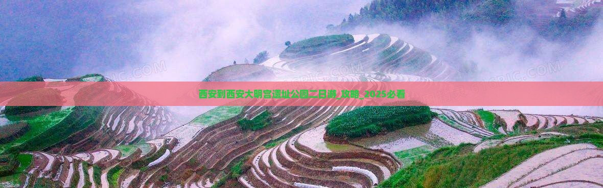 西安到西安大明宫国家遗址公园二日游