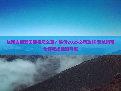 陇南去西安回民街攻略