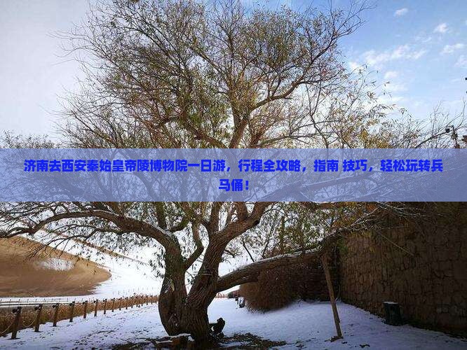 济南去西安秦始皇帝陵博物院一日游