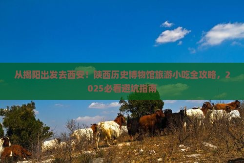 揭阳去西安陕西历史博物馆旅游小吃