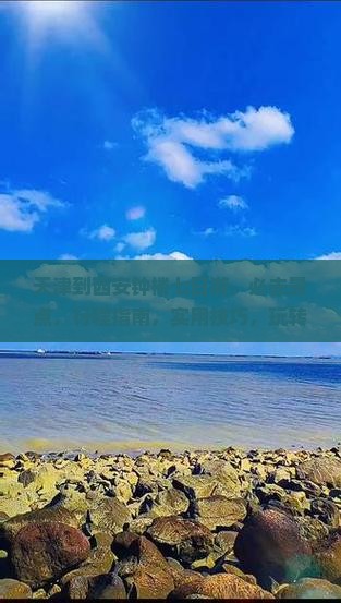 天津到西安钟楼七日游