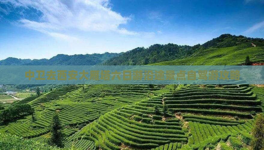 中卫去西安大雁塔六日游