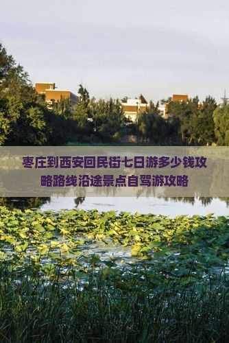 枣庄到西安回民街七日游