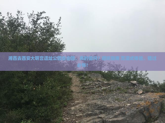 湘西去西安大明宫国家遗址公园自由团