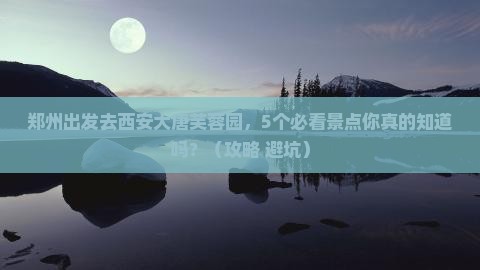郑州去西安大唐芙蓉园旅行社