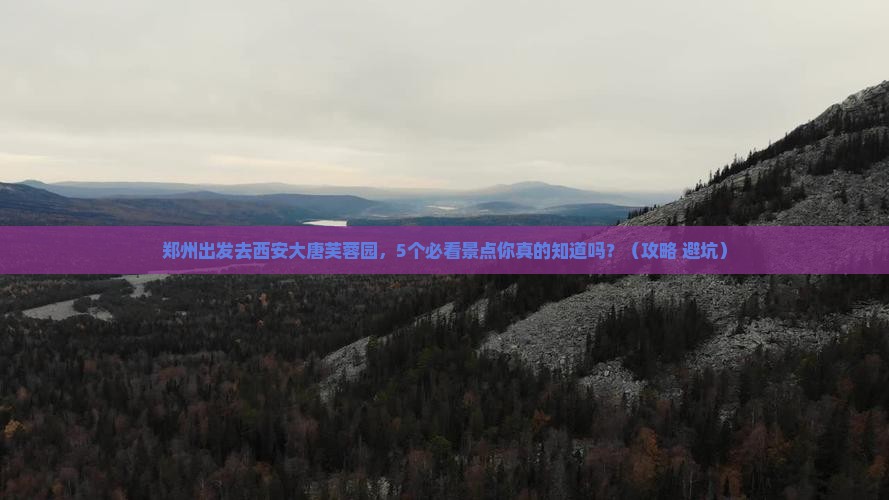 郑州去西安大唐芙蓉园旅行社