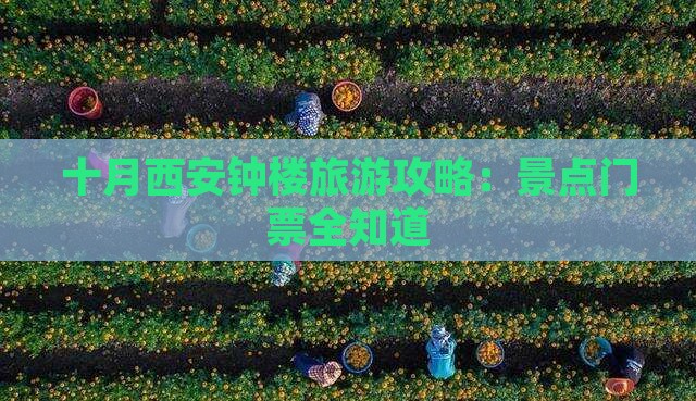 十月到西安钟楼门票