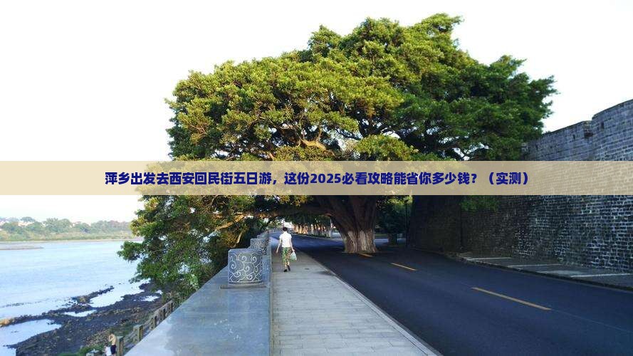 萍乡去西安回民街五日游