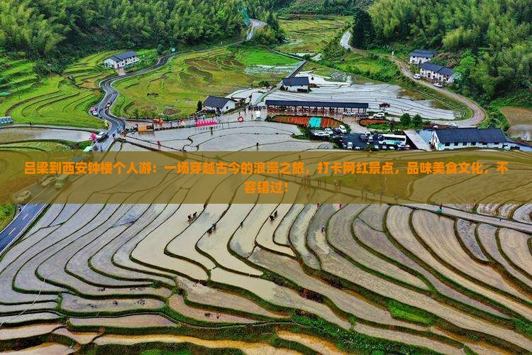 吕梁到西安钟楼个人游