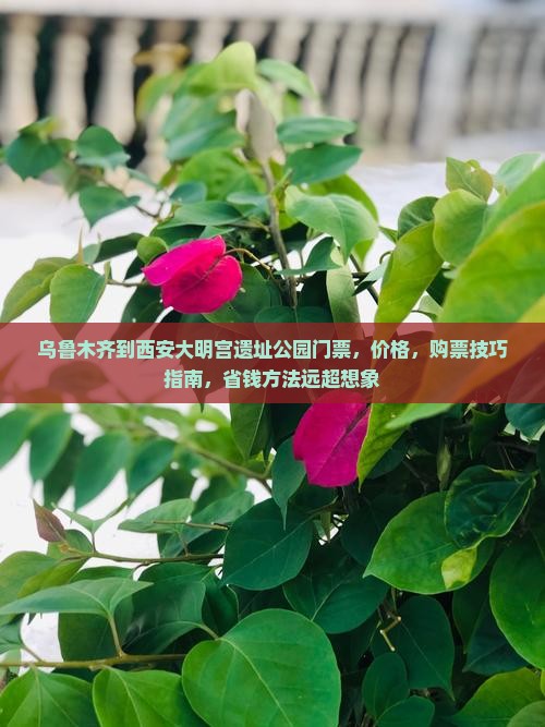 乌鲁木齐到西安大明宫国家遗址公园门票