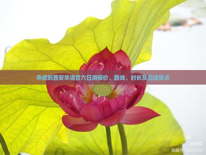 承德到西安华清宫六日游