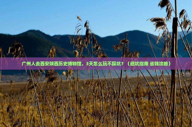 广州去西安陕西历史博物馆个人游